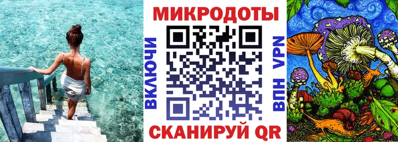 Галлюциногенные грибы Psilocybe  Оса 